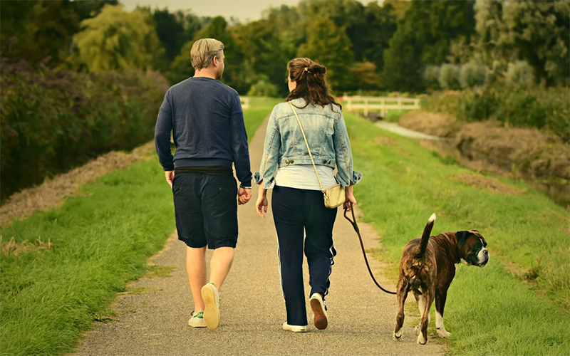 Read more about the article Walking After a Meal: The Easiest Metabolic Win